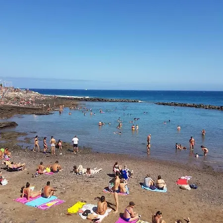 Cactus Playa