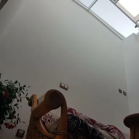 Cactus Playa Arinaga