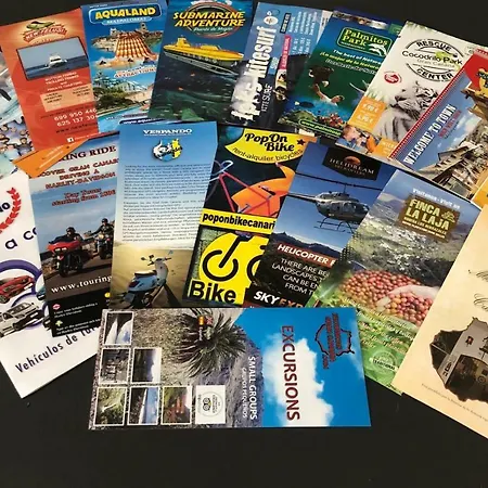 Cactus Playa Villa Arinaga