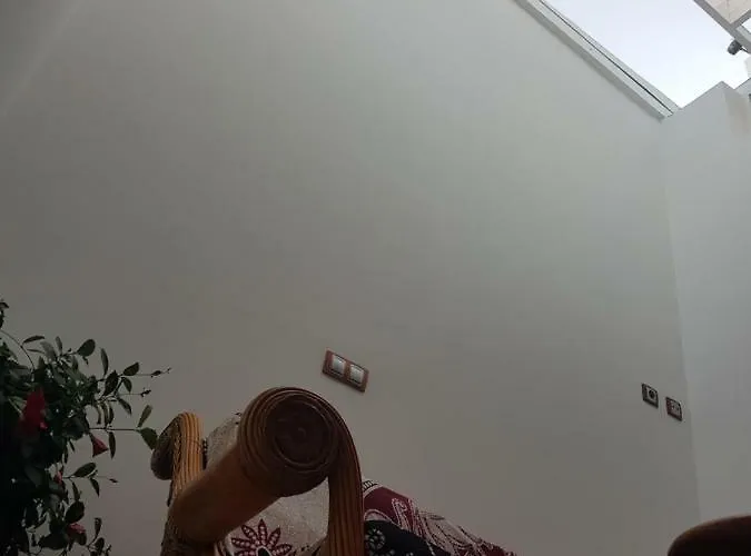 Cactus Playa أريناغا