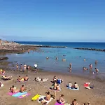 Cactus Playa