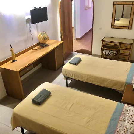 Cactus Playa 阿里纳加